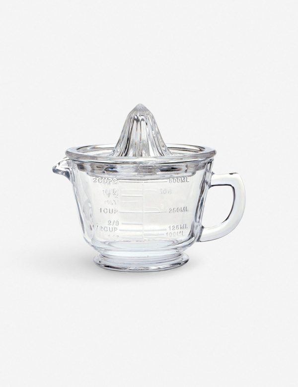 Glass Citrus Juicer Hot on Sale