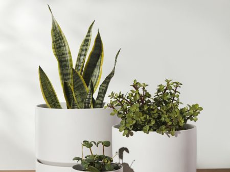 Ceramic Indoor   Outdoor Planter by LBE Design Fashion