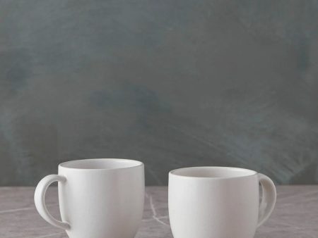 Pacifica Mugs (Set of 2) by Casafina Cheap