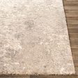 Surya Rug Tuscany TUS-2304 Sale