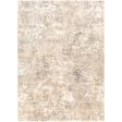 Surya Rug Tuscany TUS-2304 Sale