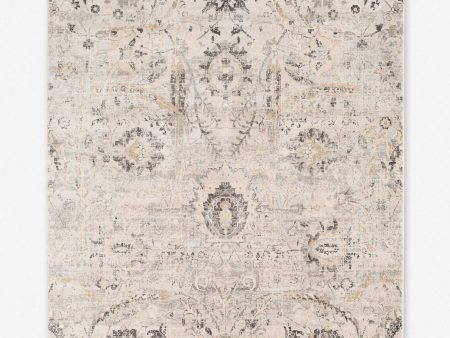 Antonina Rug Sale