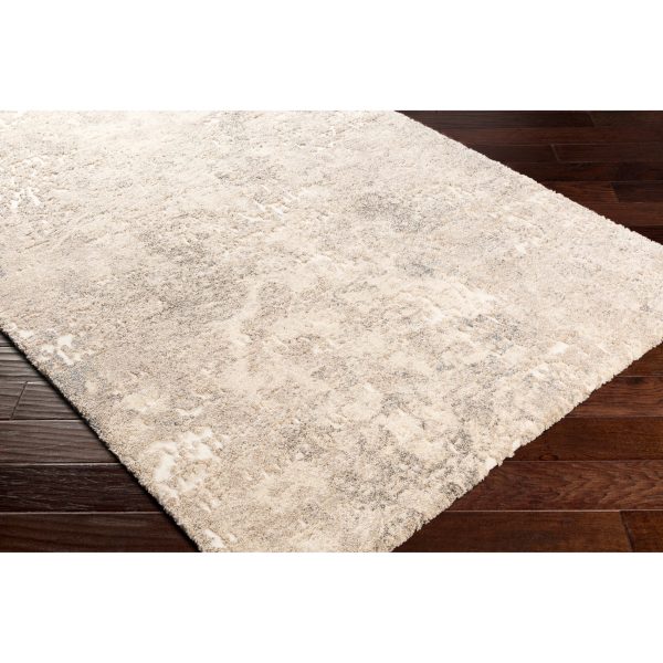 Surya Rug Tuscany TUS-2304 Sale