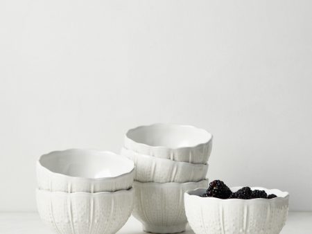 Aparte Cereal Bowl by Costa Nova on Sale