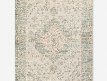 Aiden Handwoven Rug on Sale