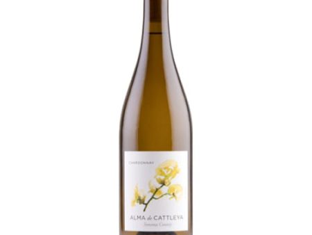 Cattleya Wines Alma de Cattleya Chardonnay 2021 - 750ML Fashion