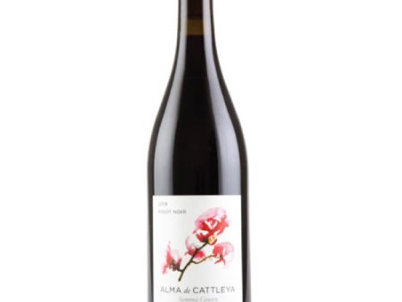 Cattleya Wines Alma de Cattleya Pinot Noir 2022 - 750ML on Sale