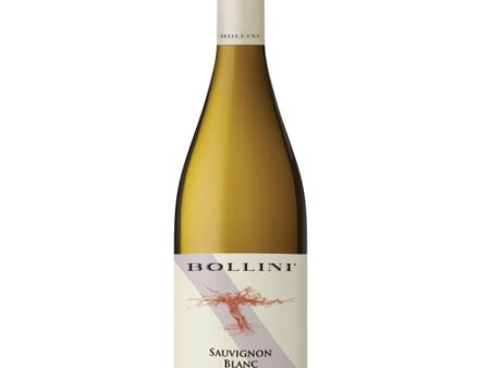 Bollini Sauvignon Blanc 750ML Cheap