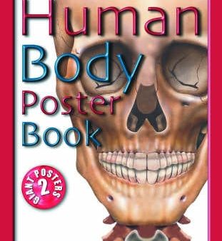 Bounce: Human Body Poster Book [2006] Online Sale